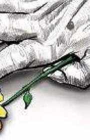 Leprosy-free India still a distant dream, cases persist in Karnataka Leprosy-free India still a distant dream, cases persist in Karnataka